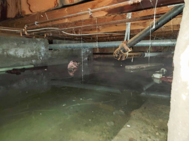 Best Water damage restoration near me  in Darby, PA