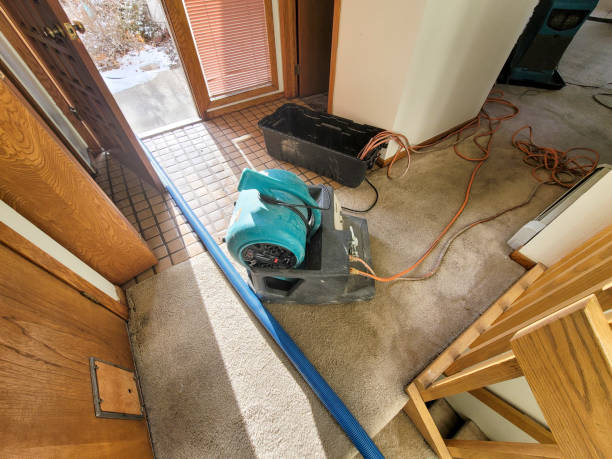 Best Water damage restoration near me  in Darby, PA