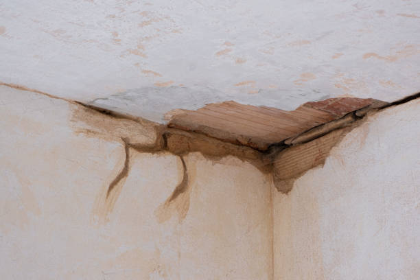 Best Basement water damage restoration  in Darby, PA