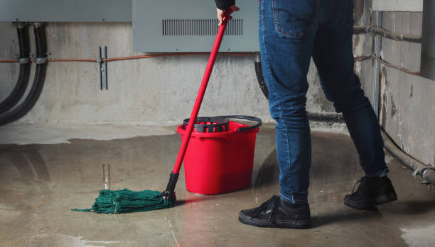 Best Flood restoration services  in Darby, PA