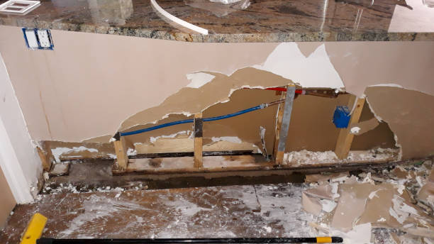 Best Flood damage cleanup  in Darby, PA