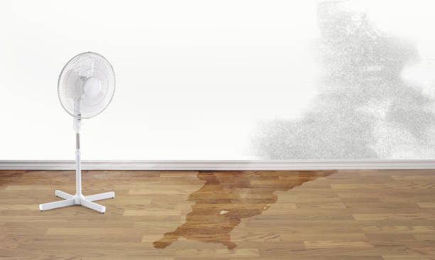 Best Water damage contractors near me  in Darby, PA