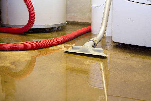 Best Water damage restoration insurance claims  in Darby, PA