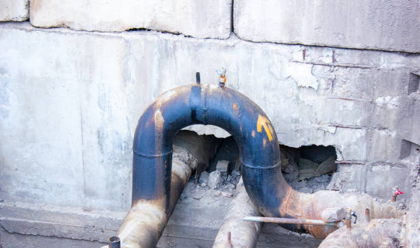 Best Carpet water damage restoration  in Darby, PA